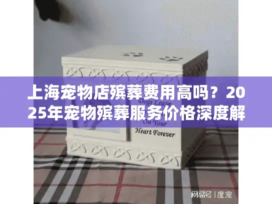 上海宠物店殡葬费用高吗？2025年宠物殡葬服务价格深度解析