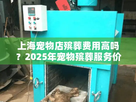 上海宠物店殡葬费用高吗？2025年宠物殡葬服务价格深度解析