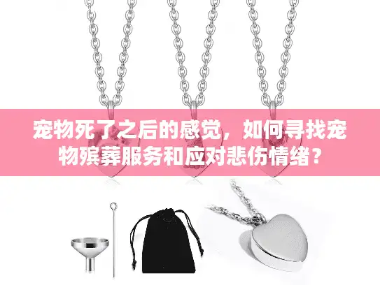 宠物死了之后的感觉，如何寻找宠物殡葬服务和应对悲伤情绪？
