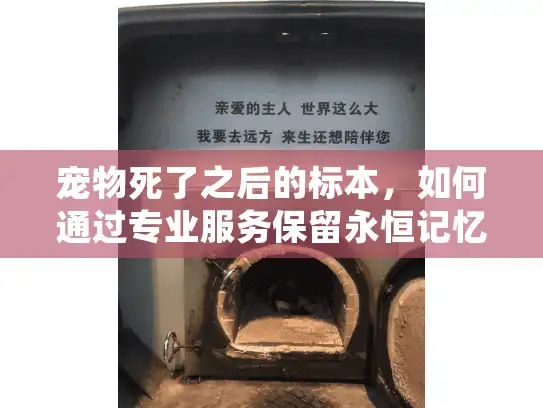 宠物死了之后的标本，如何通过专业服务保留永恒记忆？