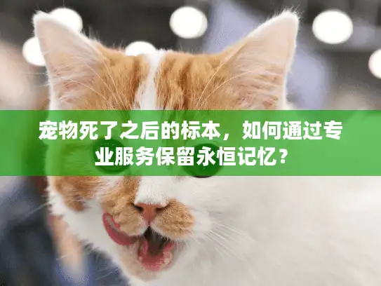 宠物死了之后的标本，如何通过专业服务保留永恒记忆？
