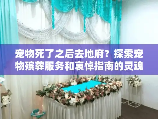 宠物死了之后去地府？探索宠物殡葬服务和哀悼指南的灵魂旅程