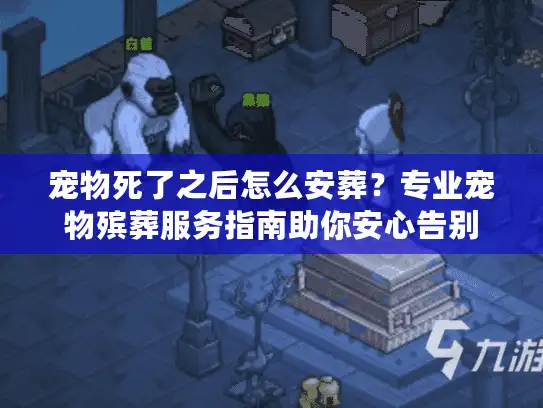 宠物死了之后怎么安葬？专业宠物殡葬服务指南助你安心告别