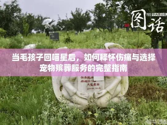 当毛孩子回喵星后，如何释怀伤痛与选择宠物殡葬服务的完整指南