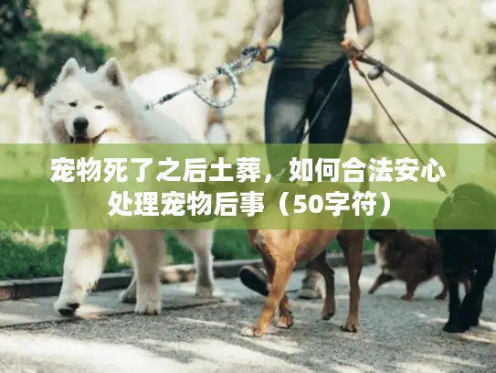 宠物死了之后土葬，如何合法安心处理宠物后事（50字符）