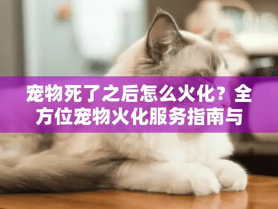 宠物死了之后怎么火化？全方位宠物火化服务指南与费用解析