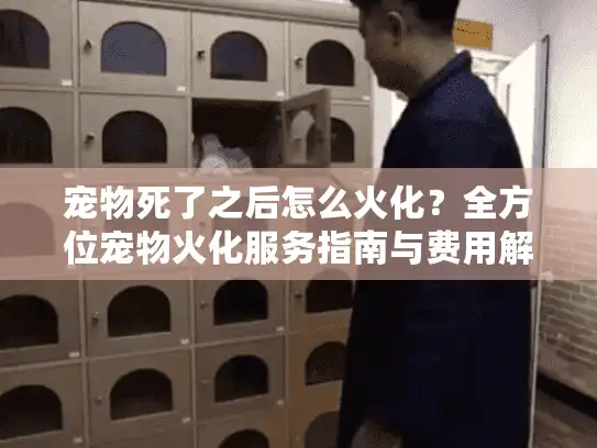 宠物死了之后怎么火化？全方位宠物火化服务指南与费用解析