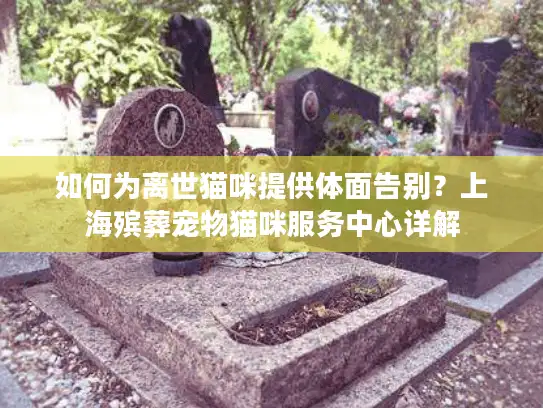 如何为离世猫咪提供体面告别？上海殡葬宠物猫咪服务中心详解