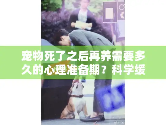 宠物死了之后再养需要多久的心理准备期？科学缓解丧宠之痛的方法指南