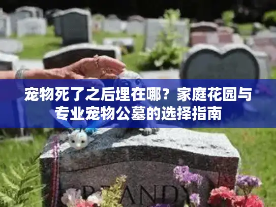 宠物死了之后埋在哪？家庭花园与专业宠物公墓的选择指南