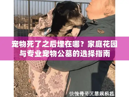 宠物死了之后埋在哪？家庭花园与专业宠物公墓的选择指南
