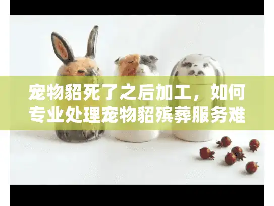 宠物貂死了之后加工，如何专业处理宠物貂殡葬服务难题