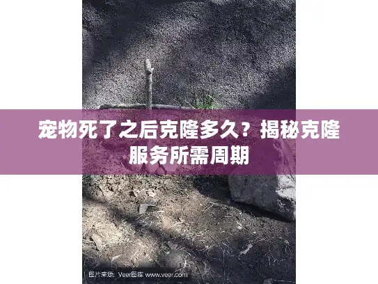 宠物死了之后克隆多久？揭秘克隆服务所需周期