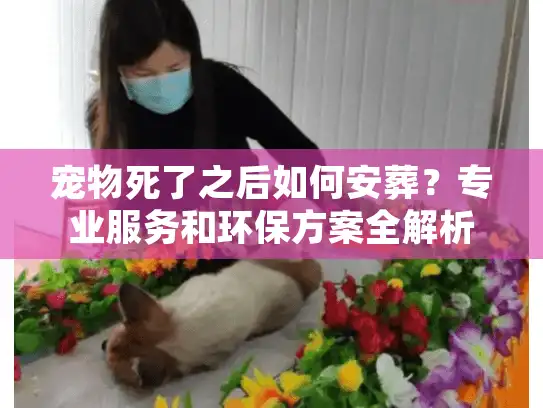 宠物死了之后如何安葬？专业服务和环保方案全解析