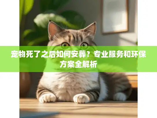 宠物死了之后如何安葬？专业服务和环保方案全解析