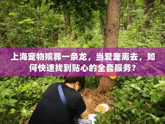 上海宠物殡葬一条龙，当爱宠离去，如何快速找到贴心的全套服务？