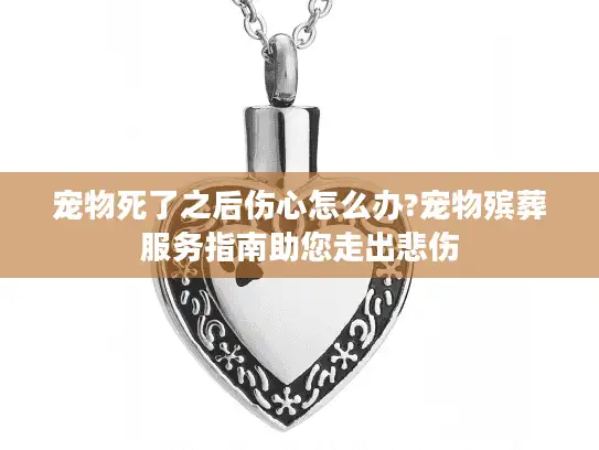宠物死了之后伤心怎么办?宠物殡葬服务指南助您走出悲伤