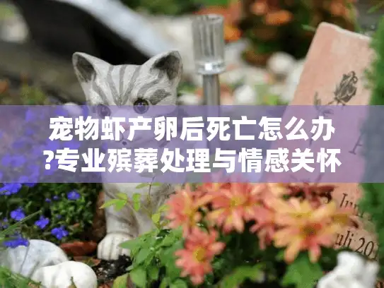宠物虾产卵后死亡怎么办?专业殡葬处理与情感关怀指南