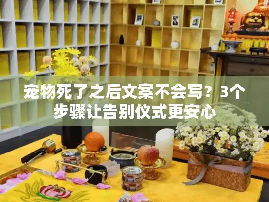 宠物死了之后文案不会写？3个步骤让告别仪式更安心