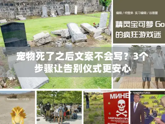 宠物死了之后文案不会写？3个步骤让告别仪式更安心