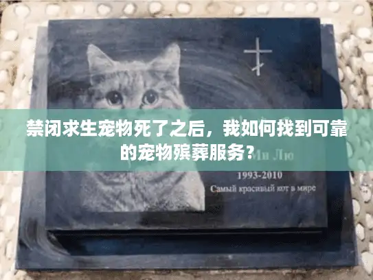 禁闭求生宠物死了之后，我如何找到可靠的宠物殡葬服务？