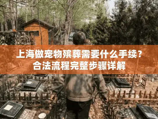 上海做宠物殡葬需要什么手续？合法流程完整步骤详解