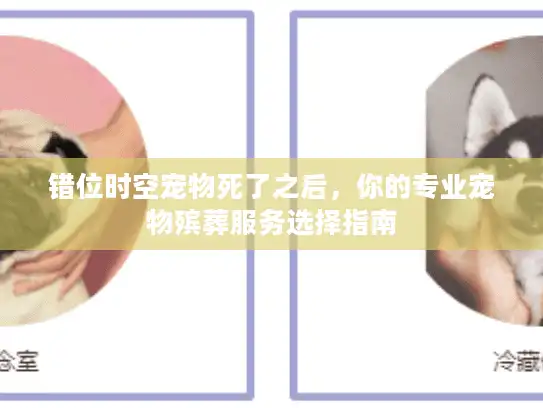 错位时空宠物死了之后，你的专业宠物殡葬服务选择指南