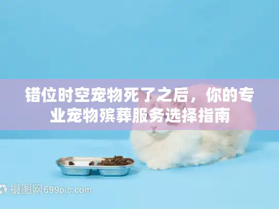错位时空宠物死了之后，你的专业宠物殡葬服务选择指南