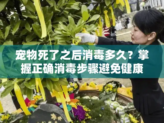 宠物死了之后消毒多久？掌握正确消毒步骤避免健康风险