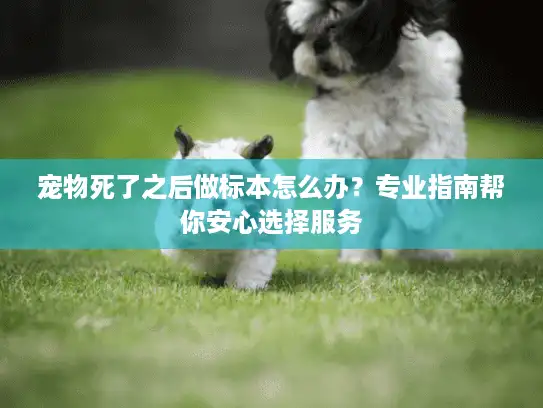 宠物死了之后做标本怎么办？专业指南帮你安心选择服务