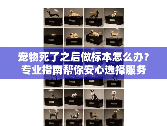 宠物死了之后做标本怎么办？专业指南帮你安心选择服务