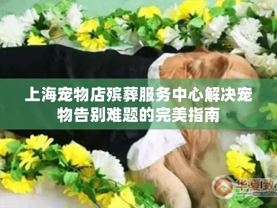上海宠物店殡葬服务中心解决宠物告别难题的完美指南