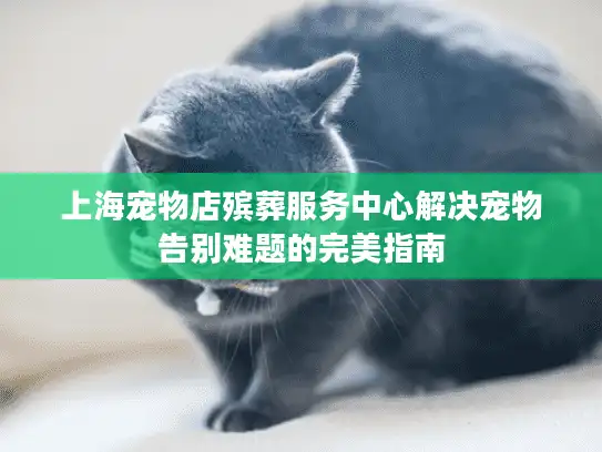 上海宠物店殡葬服务中心解决宠物告别难题的完美指南