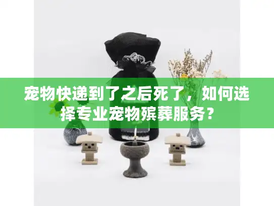 宠物快递到了之后死了，如何选择专业宠物殡葬服务？