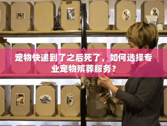 宠物快递到了之后死了，如何选择专业宠物殡葬服务？