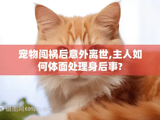 宠物闯祸后意外离世,主人如何体面处理身后事?