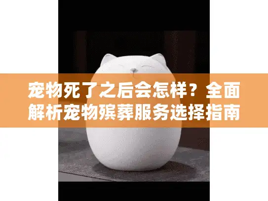宠物死了之后会怎样？全面解析宠物殡葬服务选择指南