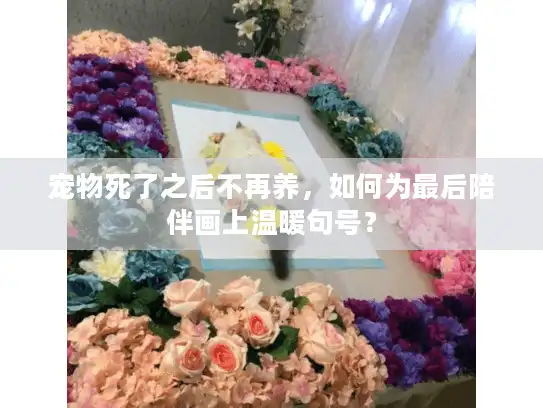 宠物死了之后不再养，如何为最后陪伴画上温暖句号？