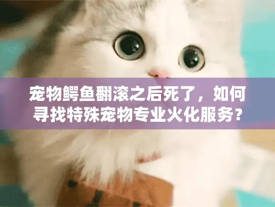 宠物鳄鱼翻滚之后死了，如何寻找特殊宠物专业火化服务？