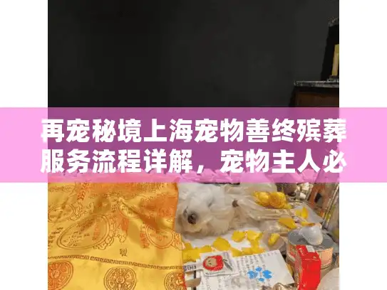 再宠秘境上海宠物善终殡葬服务流程详解，宠物主人必读指南