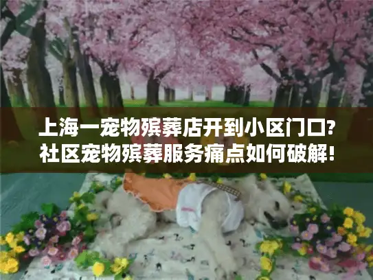 上海一宠物殡葬店开到小区门口?社区宠物殡葬服务痛点如何破解!