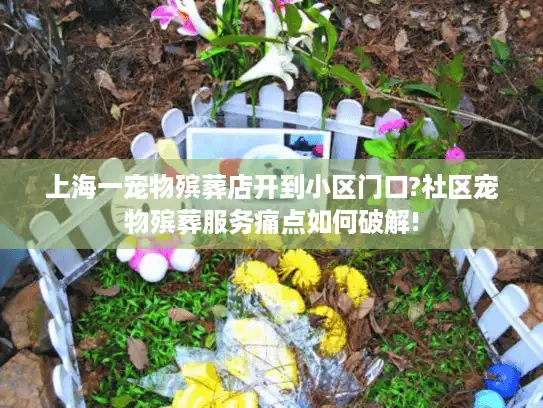 上海一宠物殡葬店开到小区门口?社区宠物殡葬服务痛点如何破解!