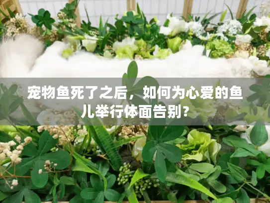 宠物鱼死了之后，如何为心爱的鱼儿举行体面告别？
