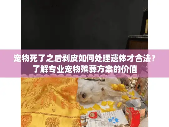 宠物死了之后剥皮如何处理遗体才合法？了解专业宠物殡葬方案的价值