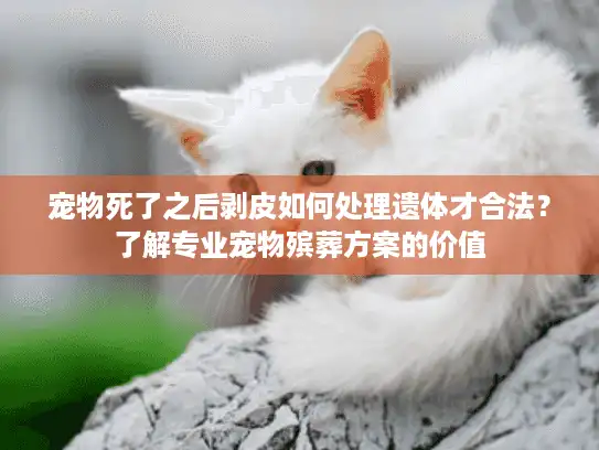 宠物死了之后剥皮如何处理遗体才合法？了解专业宠物殡葬方案的价值
