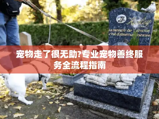 宠物走了很无助?专业宠物善终服务全流程指南