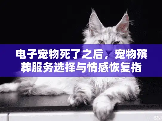 电子宠物死了之后，宠物殡葬服务选择与情感恢复指南