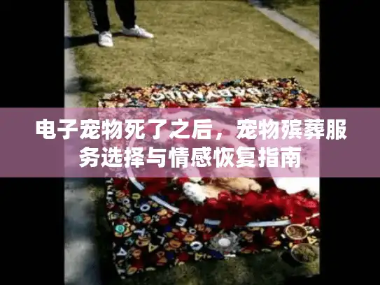 电子宠物死了之后，宠物殡葬服务选择与情感恢复指南