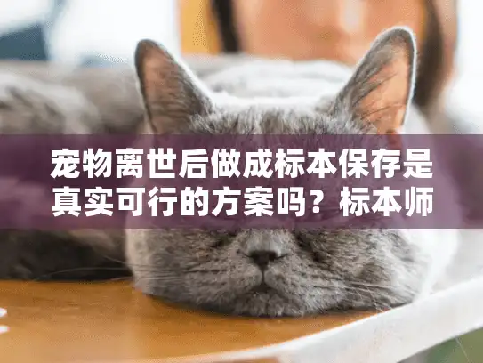 宠物离世后做成标本保存是真实可行的方案吗？标本师亲述利弊选择