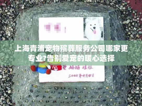 上海青浦宠物殡葬服务公司哪家更专业?告别爱宠的暖心选择